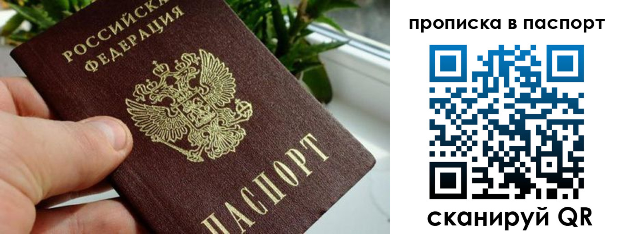 пропишу в квартире в Болотном